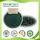 Spirulina Powder