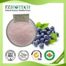 Blueberry Powder
