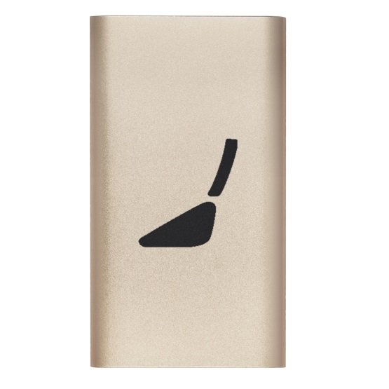 PowerBanks NEONLEC