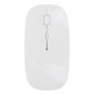 Mouses PAYANK