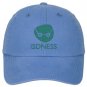 Washed Caps ISDNESS
