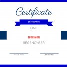 Entities REGENCYBER