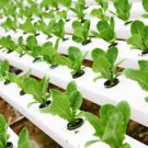 Hydroponic CD-ROM 38 Books Hydroponic aquaponic fish  Raising herbs