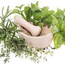 Herbal Medicine 24 e Books  Healing Grow Herbs Plants make your own medicine