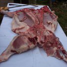 60+ DIY BUTCHERING LAMB BEEF CHICKEN PORK + MORE