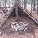 wilderness  Survival CD-ROM Doomsday Prep Fire  Medicine  SHTF