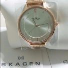 Skagen Watch