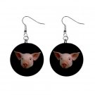 Pig Face Dangle Earrings Jewelry 1 inch Buttons 12225245