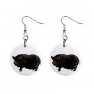 Pot Bellied Pig Belly Dangle Earrings Jewelry 1 inch Buttons 12320081
