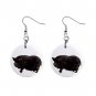 Pot Bellied Pig Belly Dangle Earrings Jewelry 1 inch Buttons 12320081