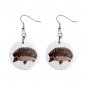 Hedgehog Dangle Earrings Jewelry 1 inch Buttons 12479763