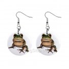 Frog Dangle Earrings Jewelry 1 inch Buttons 12479626