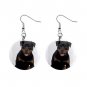 New Dog Rottweiler 1" Round Button Dangle Earrings Jewelry 13126097