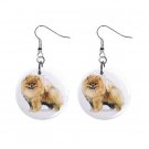 New Dog Pomeranian 1" Round Button Dangle Earrings Jewelry 13019069