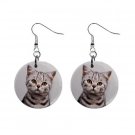 New Tabby Cat Kitten 1" Round Button Dangle Earrings Jewelry 13081449