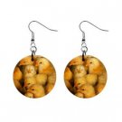 New Chick Chicken Chickies Peeps Dangle Earrings Jewelry 13019663