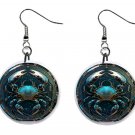 Cancer Zodiac Horoscope 1" Round Button Dangle Earrings Jewelry