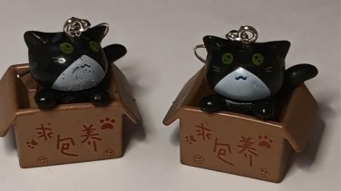 Black Cat in a Box Dangle Earrings Jewelry appx 1.5 inch Long  Plastic NEW