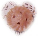 Item #: C20 - Hot Apple Pie Gel Candle