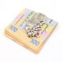 Silver Banknote clip Money clip "Taurus"