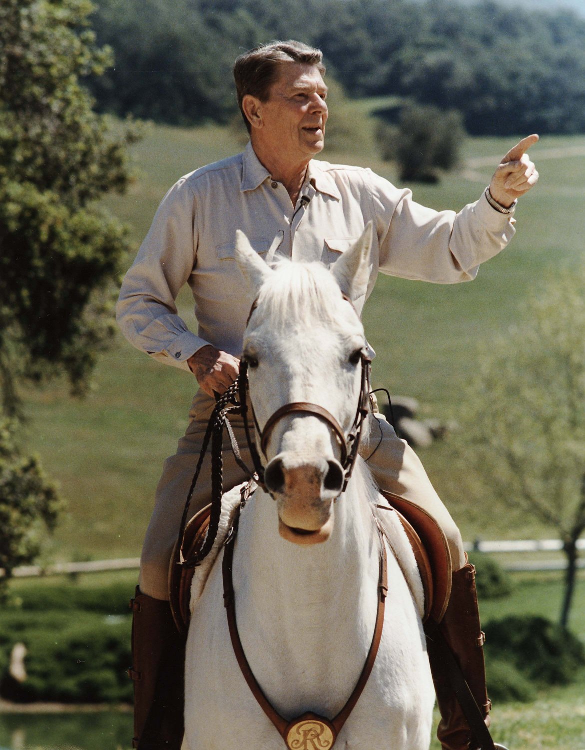 President ronald reagan rides his horse "El alamein" - 8X10 photo (EP-805) .