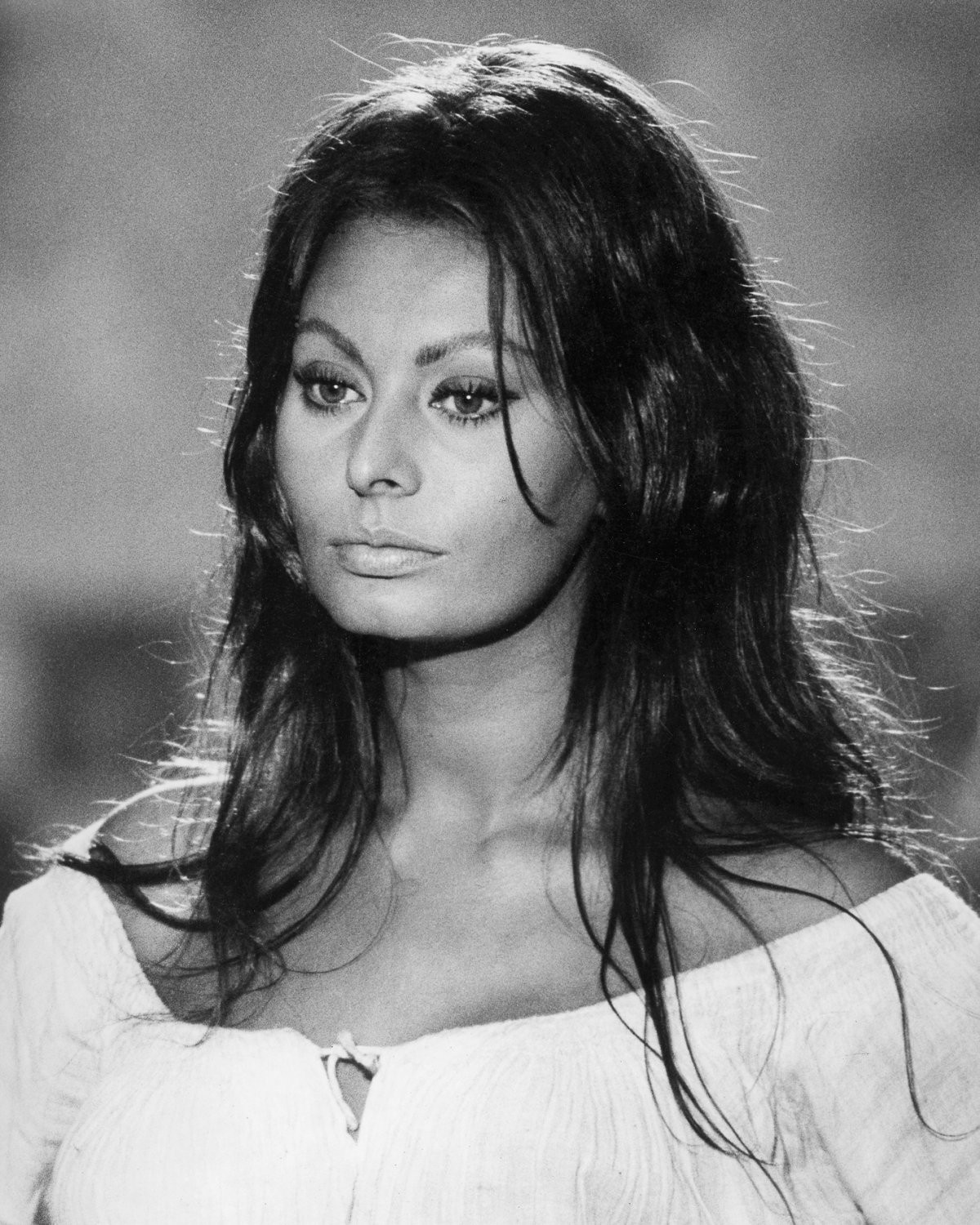 SOPHIA LOREN ACADEMY AWARD WINNING ACTRESS - 8X10 PUBLICITY PHOTO (DA-516)