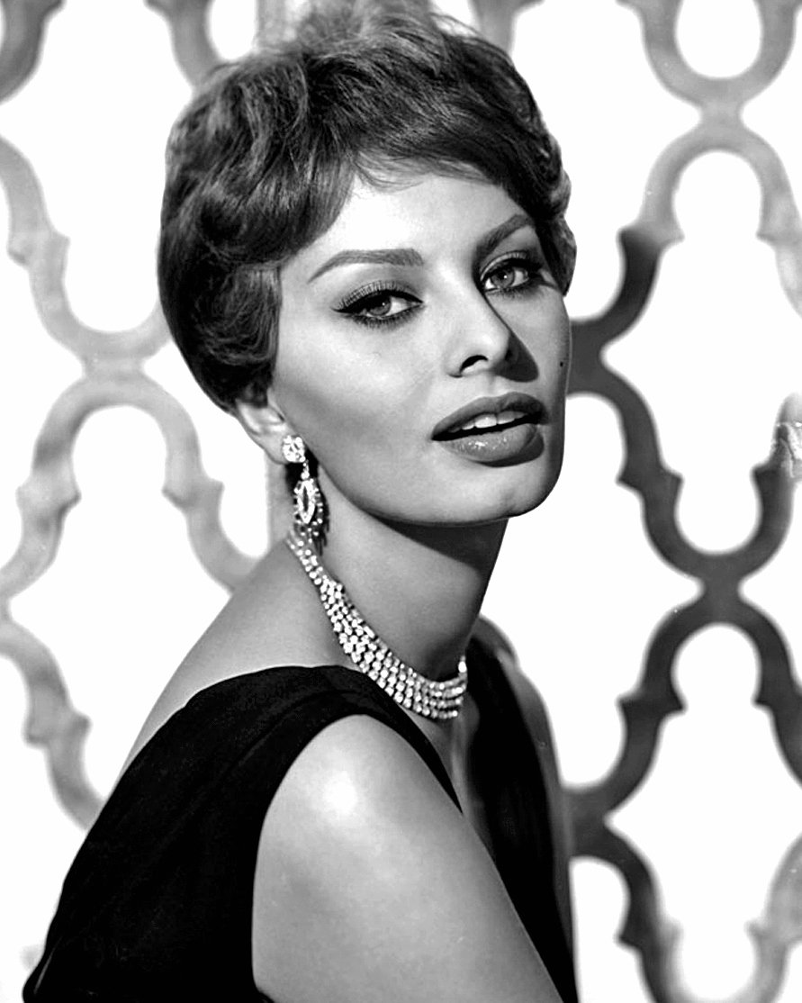 SOPHIA LOREN ACADEMY AWARD WINNING ACTRESS - 8X10 PUBLICITY PHOTO (BB-657)