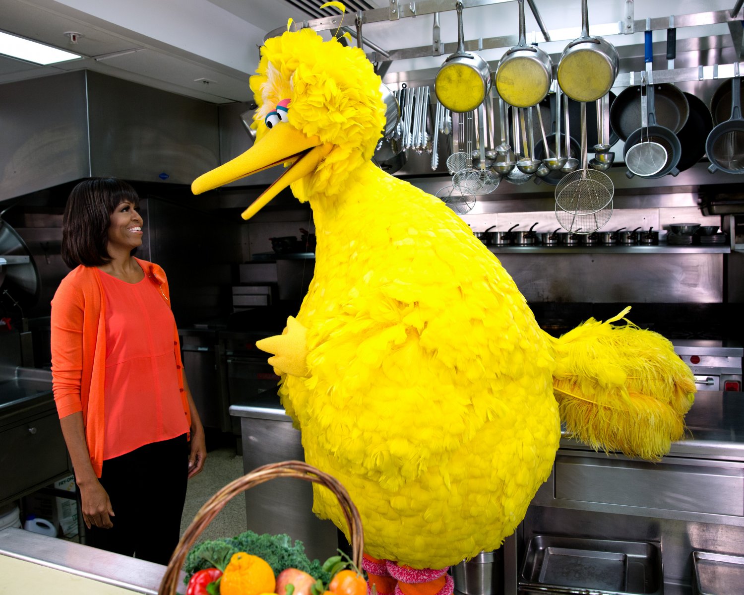 FIRST LADY MICHELLE OBAMA & "BIG BIRD" TAPE "LET'S MOVE" PSA 8X10 PHOTO (ZY-350)