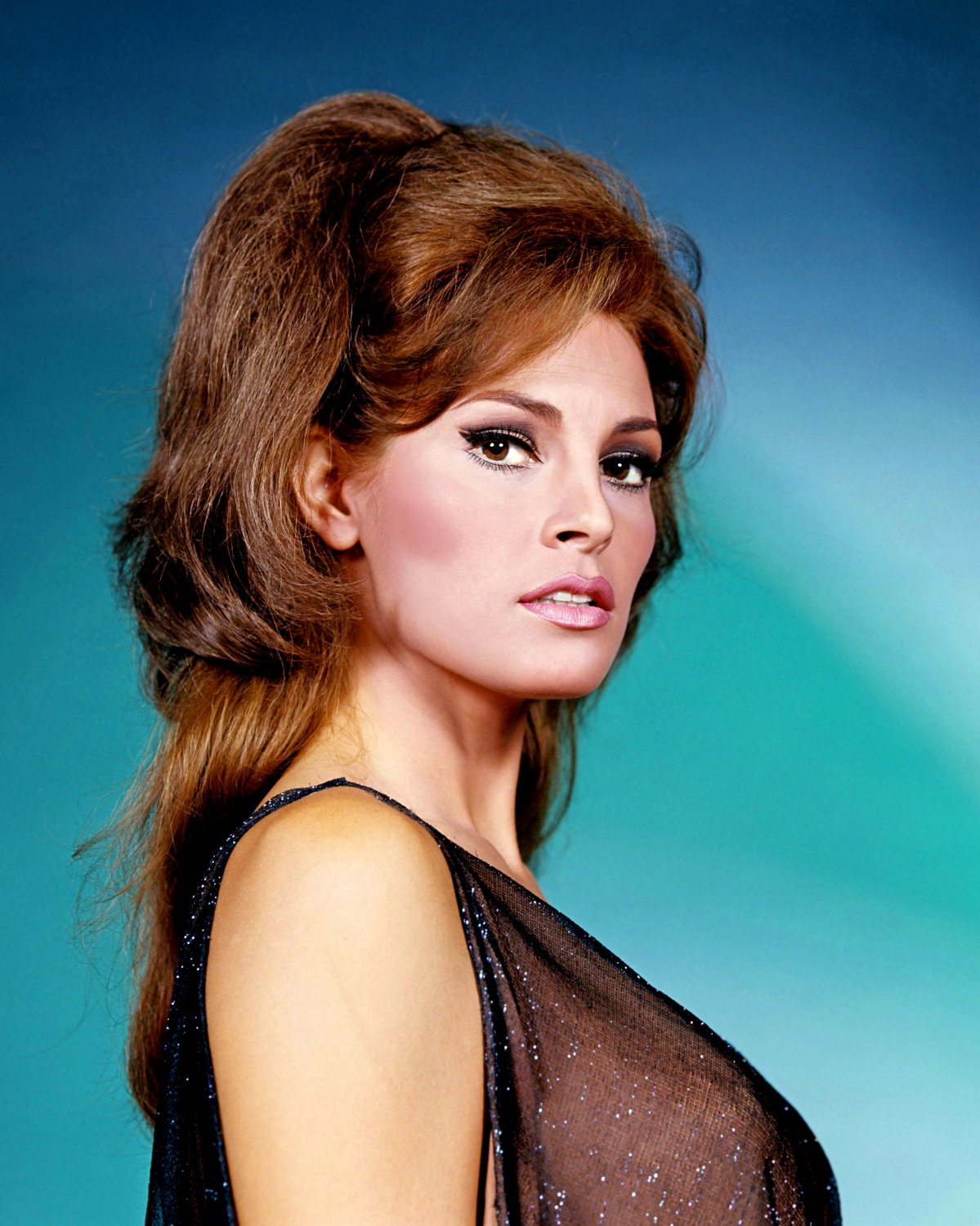 RAQUEL WELCH ACTRESS AND SEX-SYMBOL - 8X10 PUBLICITY PHOTO (SP-006)