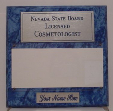Blue Marble Plaque Silver/Blue