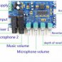 AC 12V microphone amplifier board Karaoke reverberation board