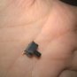Free shipping Best quality MPXHZ6400AC6T1 MPXHZ6400A 5pcs/lot (discount)