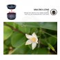 APEXEL APL-DG5 Macro Lens Kit with variety of replaceable lenses fit Smart Phone