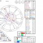 Astrology Natal Birth Chart Report - Printed