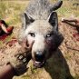 Far Cry Primal - PC Game - Uplay Download Code - Global CD Key
