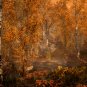 The Elder Scrolls V Skyrim Special Edition - PC Game - Steam Download Code - Global CD Key