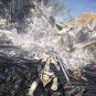 Monster Hunter World - PC Game - Steam Download Code - Global CD Key