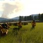 Final Fantasy XV 15 Windows Edition - PC Game - Steam Download Code - Global CD Key