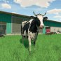 Farming Simulator 22 - PC & MAC Game - Steam Download Code - Global CD Key