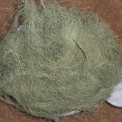 USNEA BARBATA LICHEN - Old Mans Beard Moss- 3 oz. - Medicinal, Crafts, Terrarium