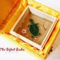 Tortoise resin painting