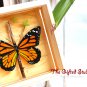 Butterfly resin painting