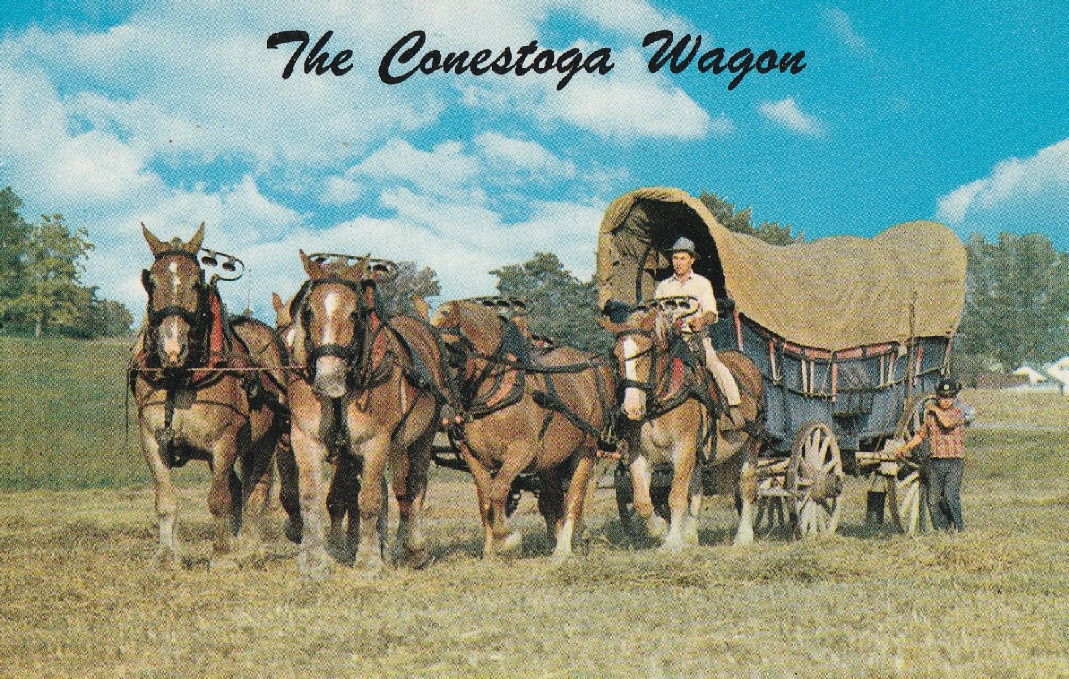 Conestoga Wagon Postcard Horses Prairie Schooner
