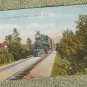 Train Passing Through Orange Grove In Winter Antique Postcard