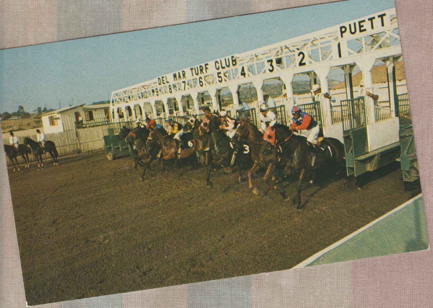 Thoroughbred Horse Racing Postcard Del Mar Lot of 3