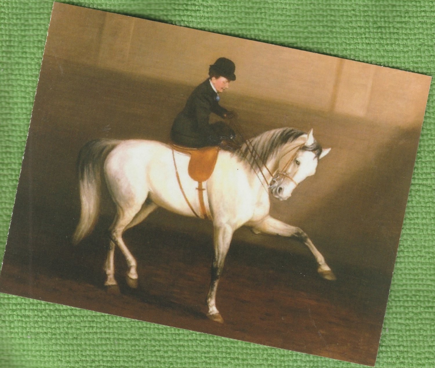 Post Card LADY RIDES SIDESADDLE Horse Dressage Equestrienne