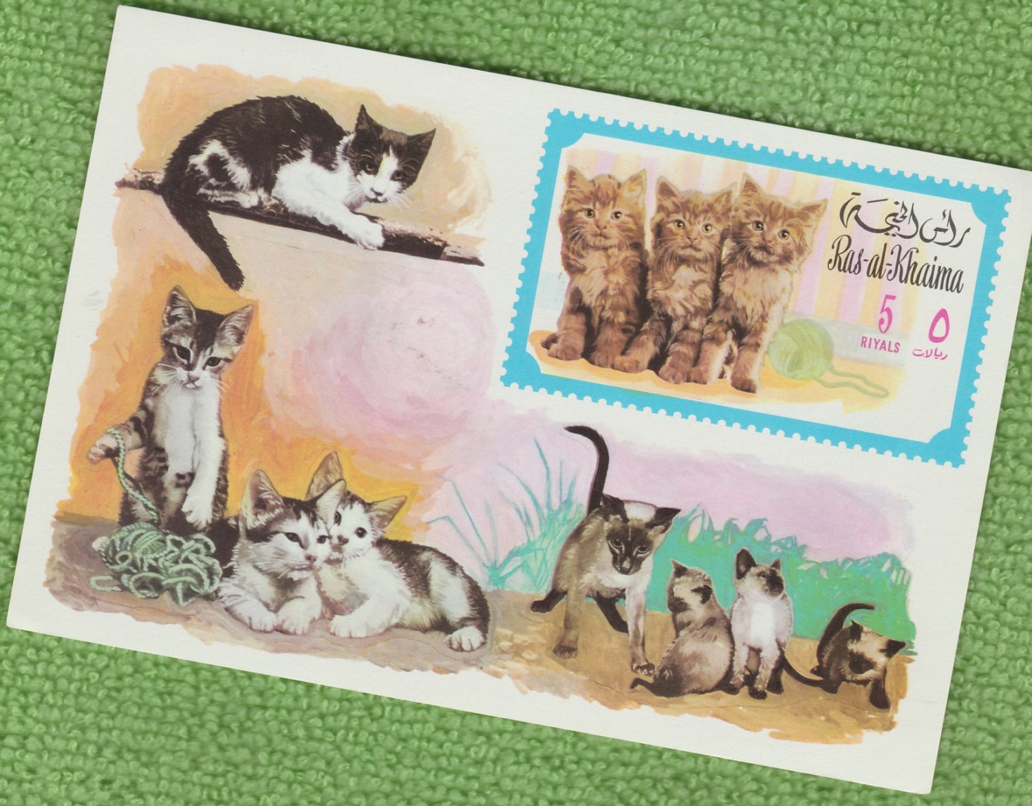 Postage Stamp KITTENS DOMESTIC CATS 1971 Ras-al-Khaima MNH