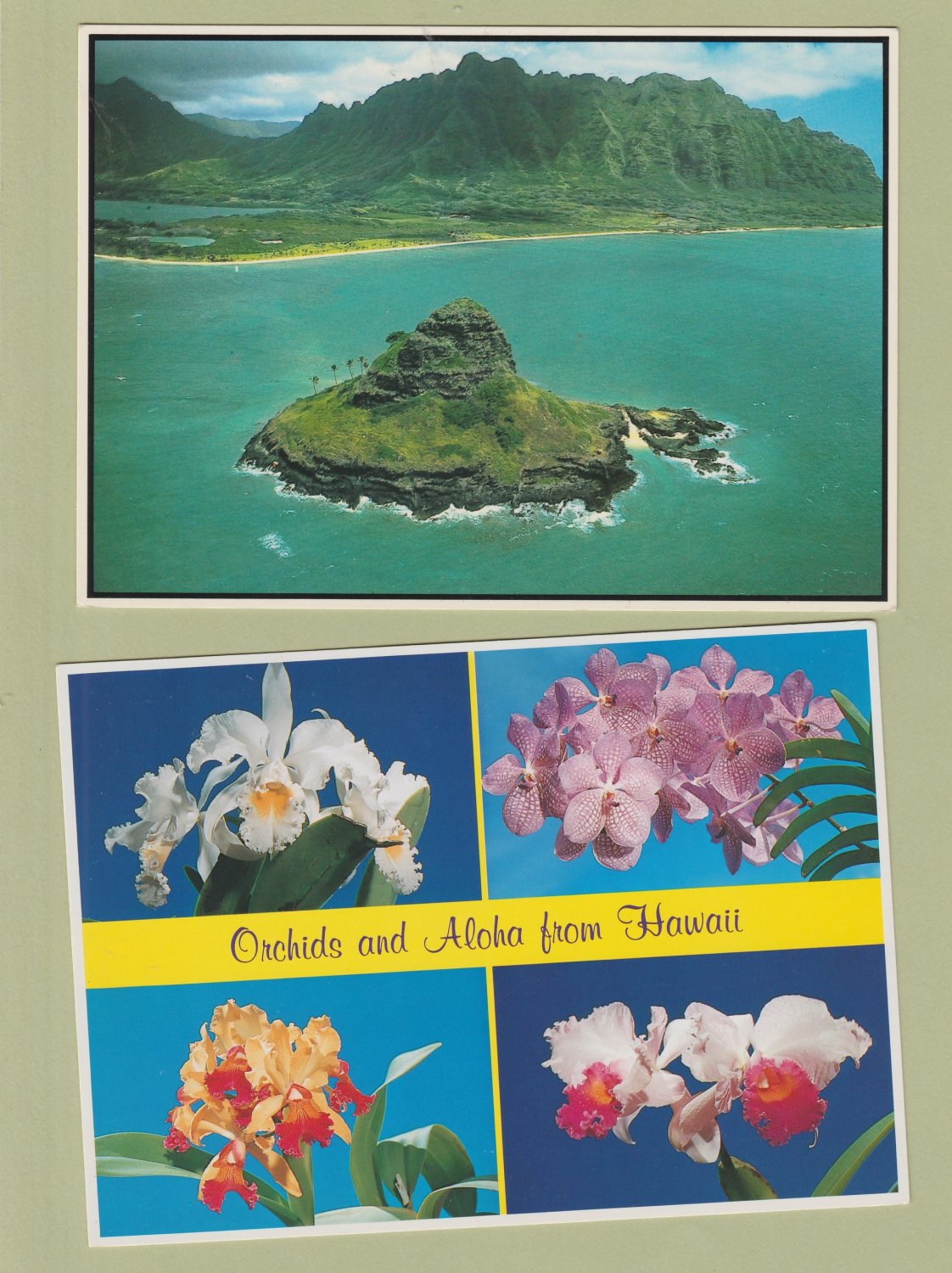 Scenic and Floral Postcards HAWAII Oahu Orchids