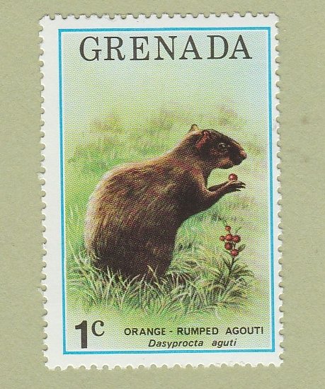 Grenada Postage Stamp Orange-Romped Agouti Wildlife
