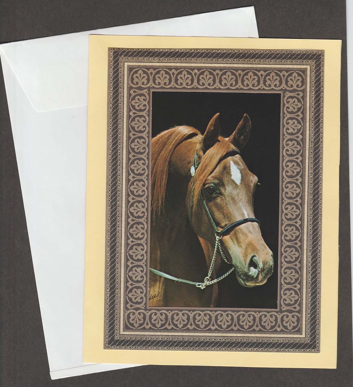 Beautiful Arabian Horse Head Note Card Greeting Congratulations